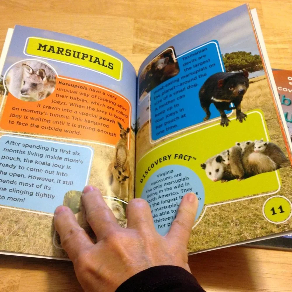 Discovery Kids Educational Booklets, Dinos, sharks, animals, adventures